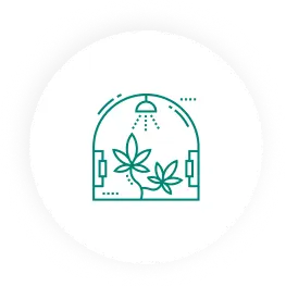 توجه در بهداشت تولید محصول