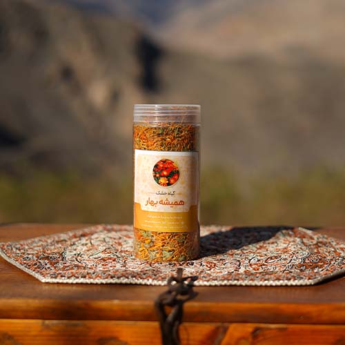 همیشه بهار