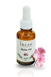 DSC00132-Recovered@2x