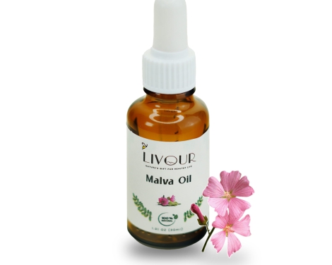 DSC00132-Recovered@2x